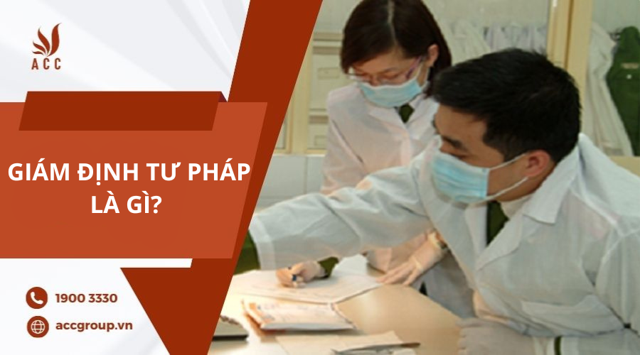 Giám định tư pháp là gì?