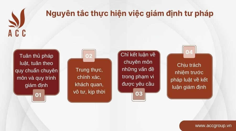 Nguyên tắc thực hiện việc giám định tư pháp được quy định như thế nào?