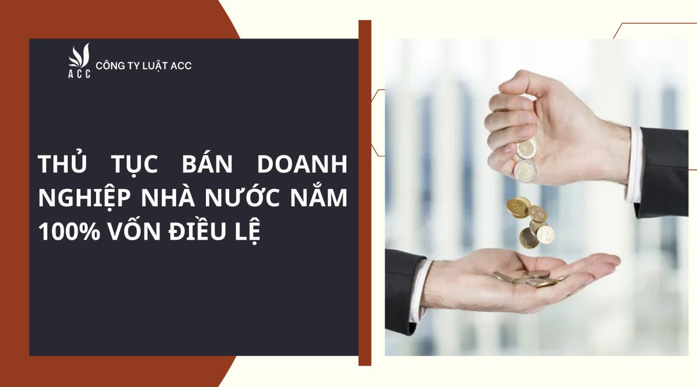 thu-tuc-ban-doanh-nghiep-nha-nuoc-nam-100-von-dieu-le