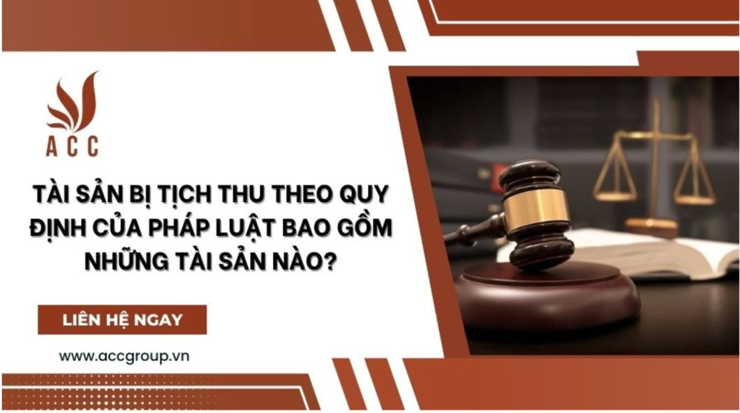 Tài sản bị tịch thu theo quy định của pháp luật bao gồm những tài sản nào?