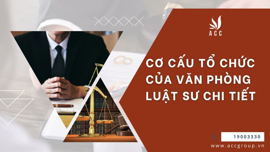co-cau-to-chuc-cua-van-phong-luat-su-chi-tiet