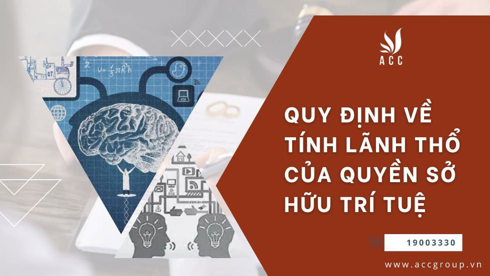 quy-dinh-ve-tinh-lanh-tho-cua-quyen-so-huu-tri-tue