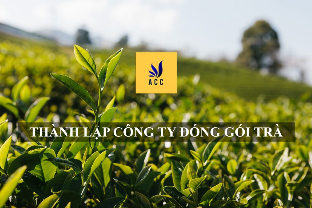 thành lập công ty đóng gói trà