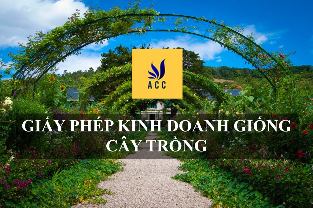 Giấy phép kinh doanh giống cây trồng