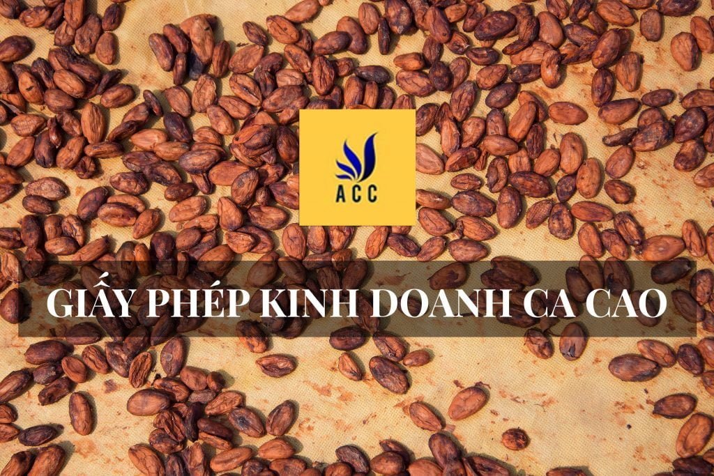 Quy định về cấp giấy phép kinh doanh ca cao 2019
