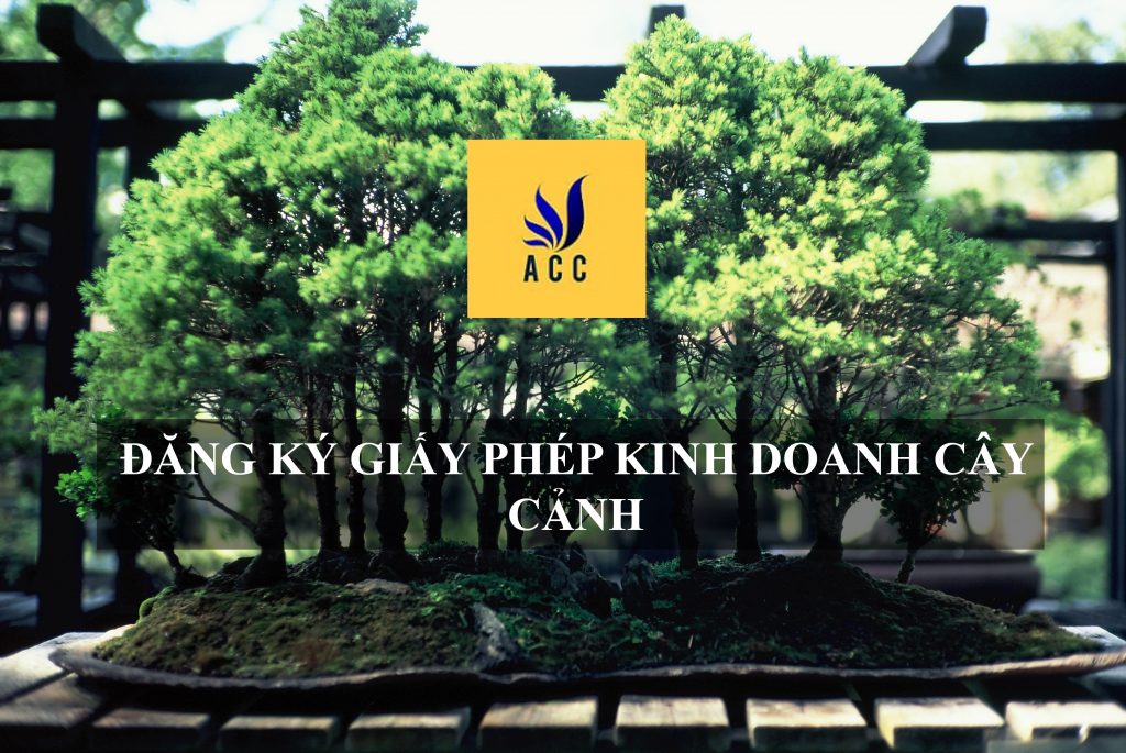 giấy phép kinh doanh cây cảnh