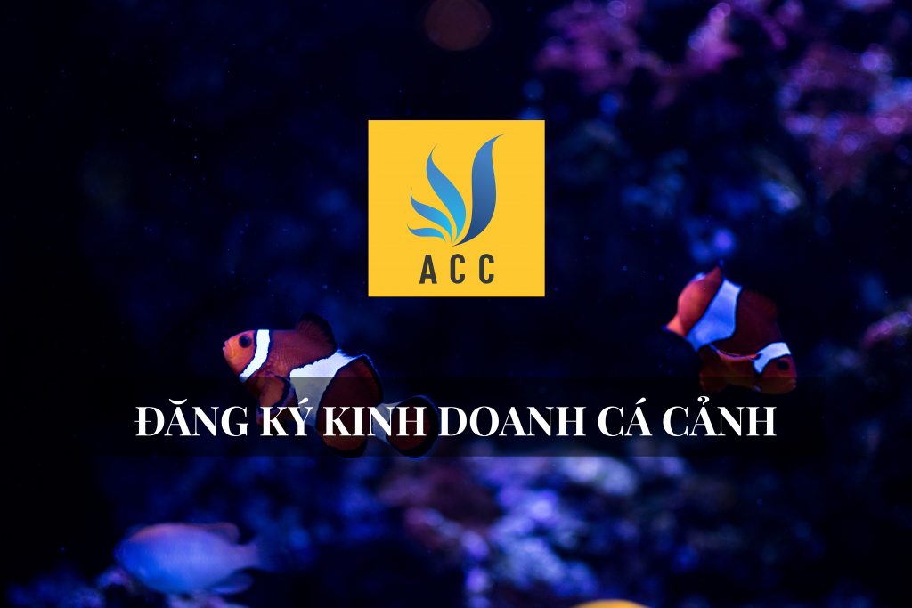 đăng ký kinh doanh cá cảnh