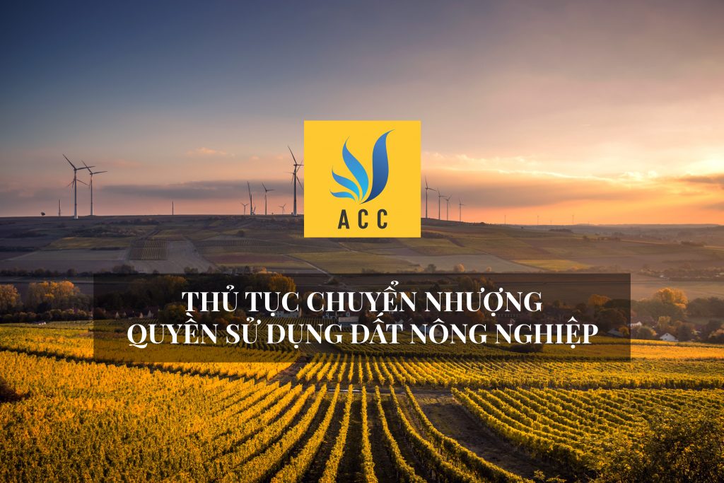 thủ tục chuyển nhượng đất nông nghiệp (đất lúa)