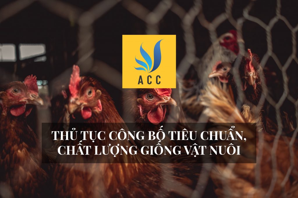 Thủ tục công bố tiêu chuẩn chất lượng giống vật nuôi