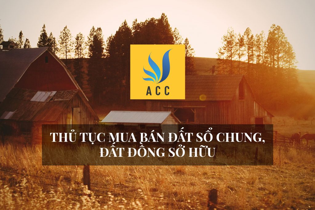 Thủ tục mua bán đất sổ chung, đất đồng sở hữu