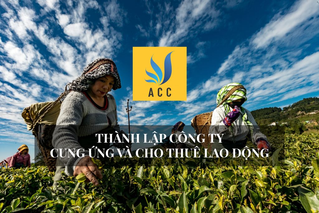 Thành lập công ty cung ứng và cho thuê lao động
