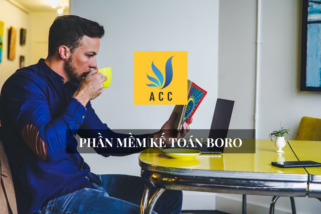 Review và báo giá phần mềm kế toán BORO