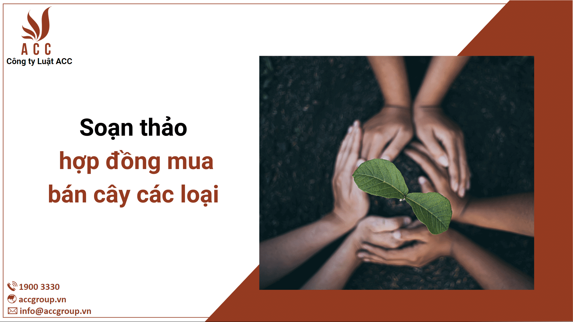 Soạn thảo Hợp đồng mua bán Cây các loại