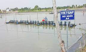 nuoi-trong-thuy-san-dam-bao-ve-sinh-an-toan-thuc-pham