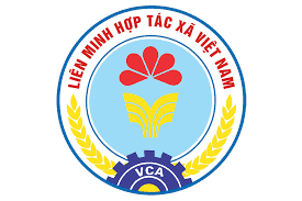 thanh-lap-lien-minh-hop-tac-xa