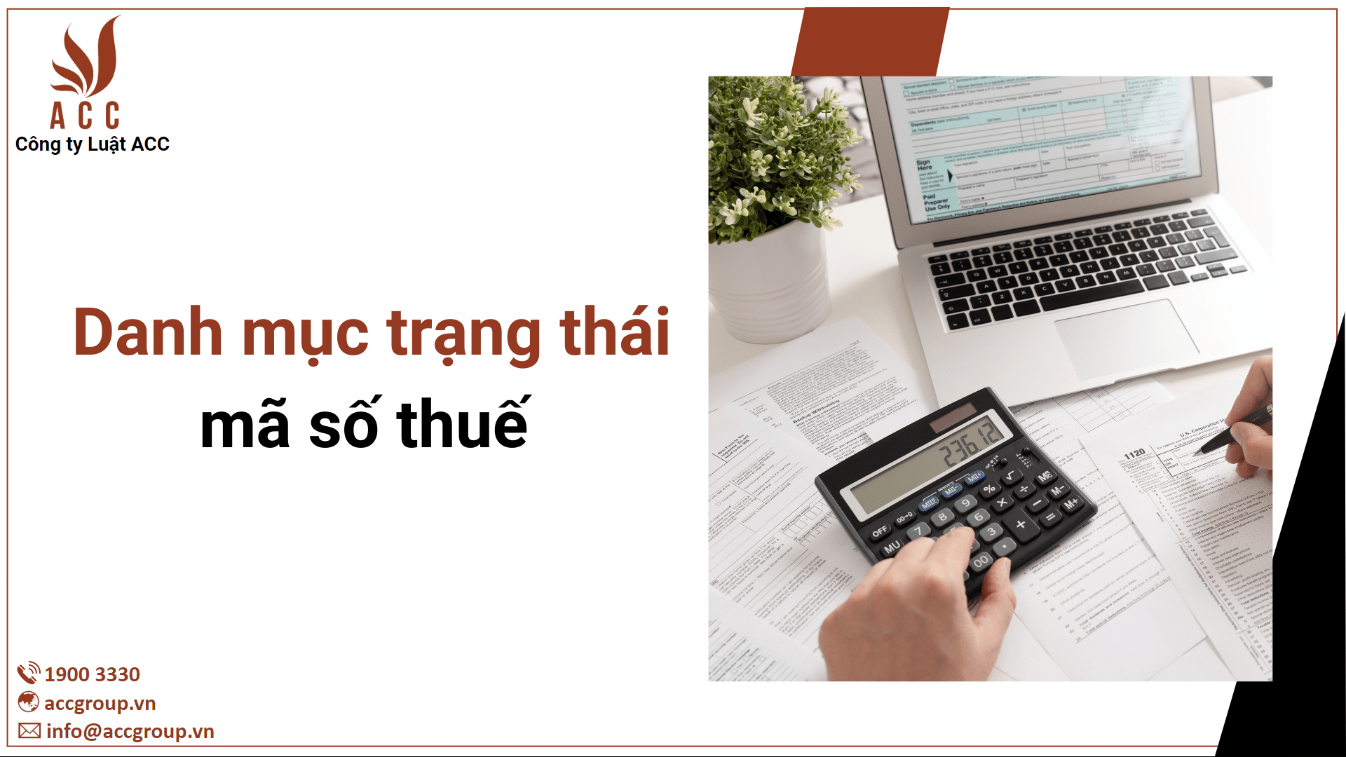 Danh mục trạng thái mã số thuế 