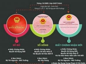 Thu-tuc-tach-thua-dat-co-so-hong-chung-300x225