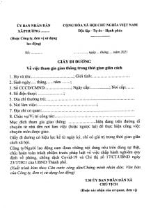 giay-di-duong-giay-thong-hanh-tai-Ha-Noi-230x300