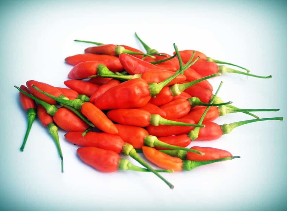 giay-phep-an-toan-thuc-pham-ot-hat-tieu