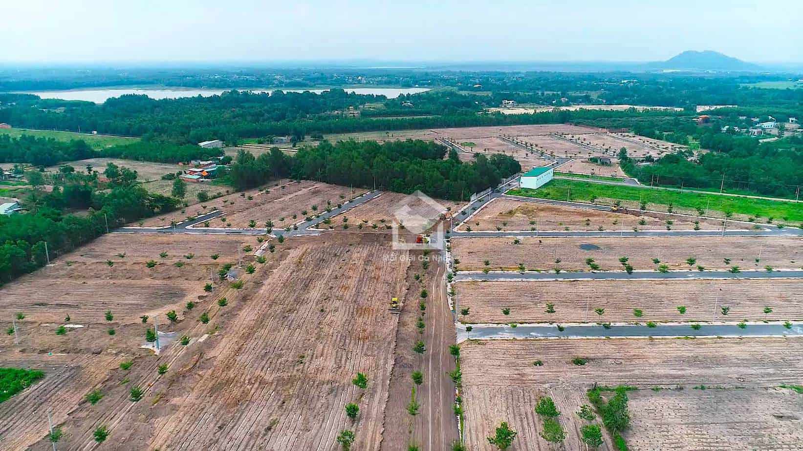 tach-thua-dat-trong-cay-lau-nam