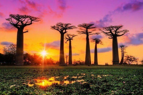 thanh-lap-van-phong-dai-dien-tai-madagascar