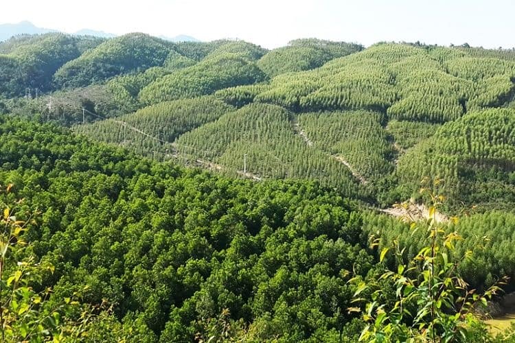 thủ-tục-chuyẻn-nhuọng-quyèn-sủ-dụng-dát-rùng-sản-xuát