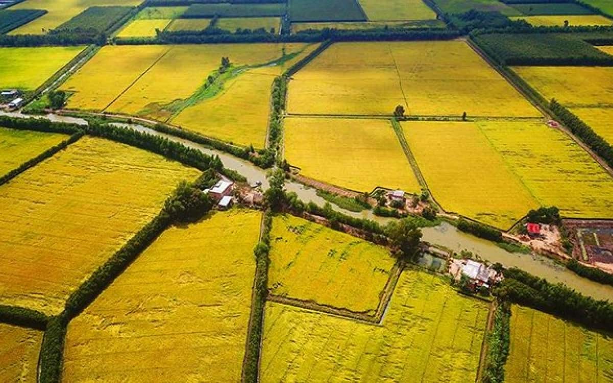 Dich-vu-Dang-ky-ho-kinh-doanh-ca-the-tai-Long-An-2021-2