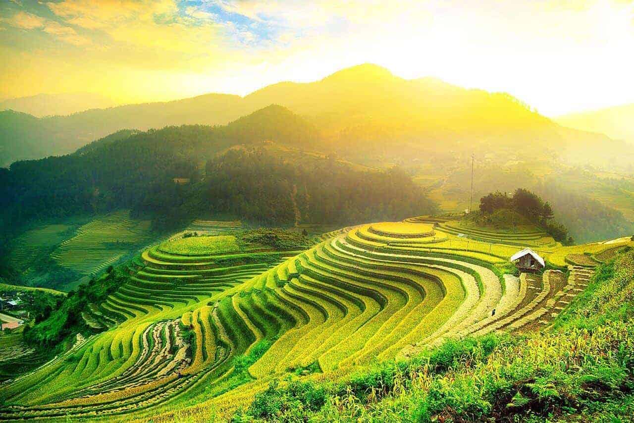 Thu-Tuc-Chuyen-Muc-Dich-Su-Dung-Dat-Tai-Hai-Phong-4