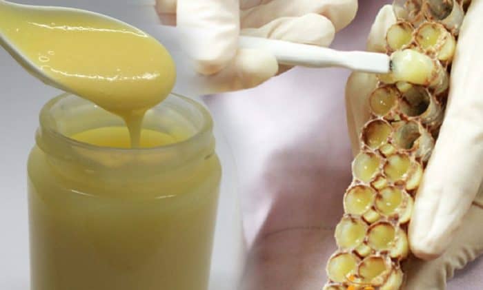 Giấy phép an toàn thực phẩm sữa ong chúa