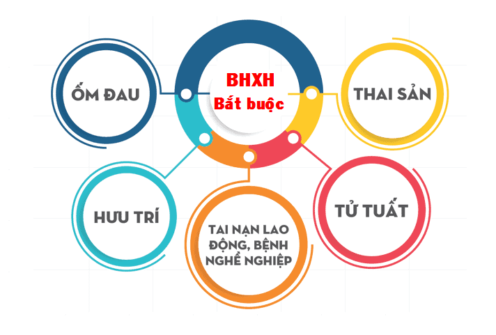 5-nguyen-tac-cua-bao-hiem-xa-hoi