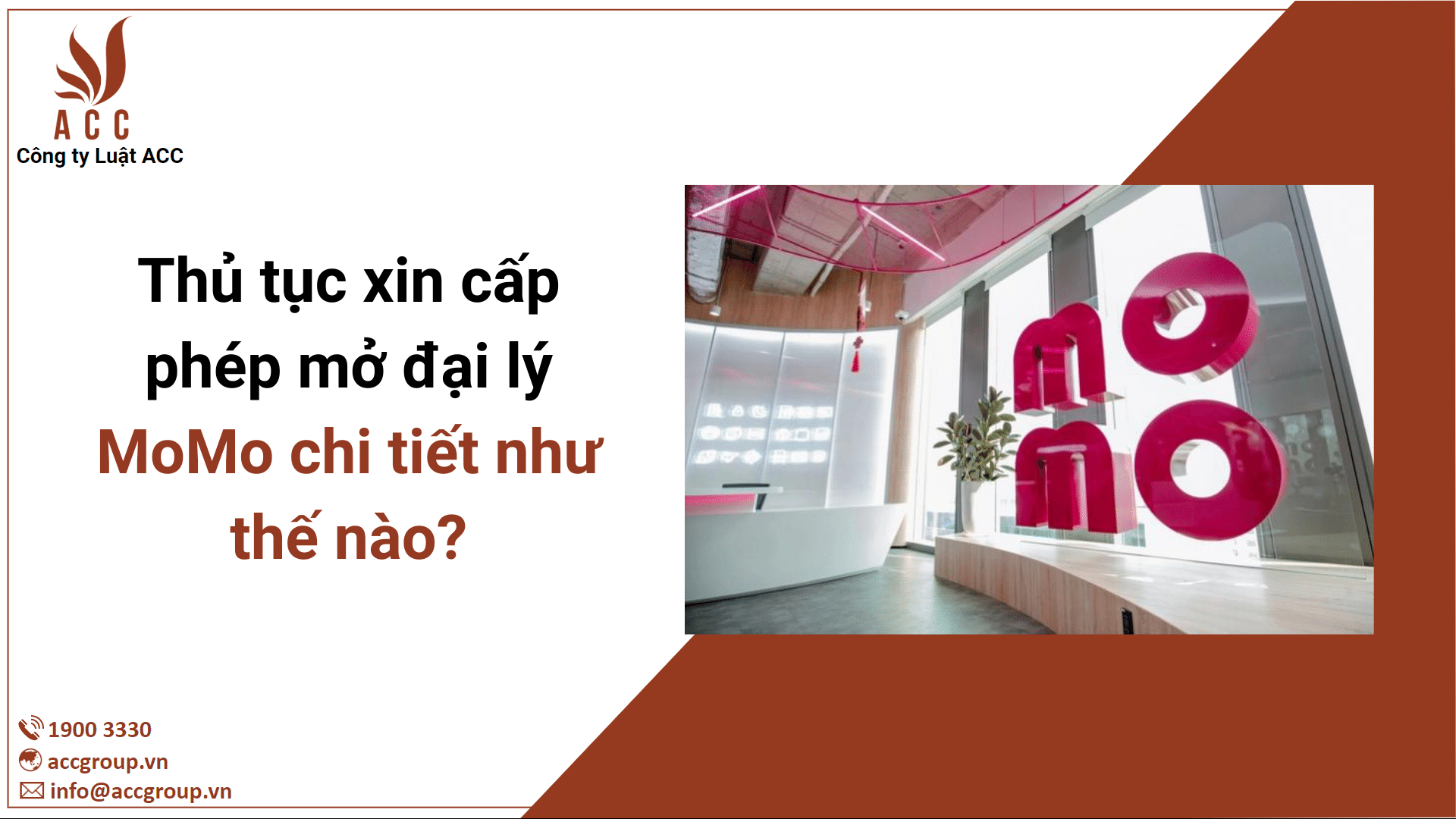 Thủ tục xin cấp phép mở đại lý MoMo chi tiết như thế nào?
