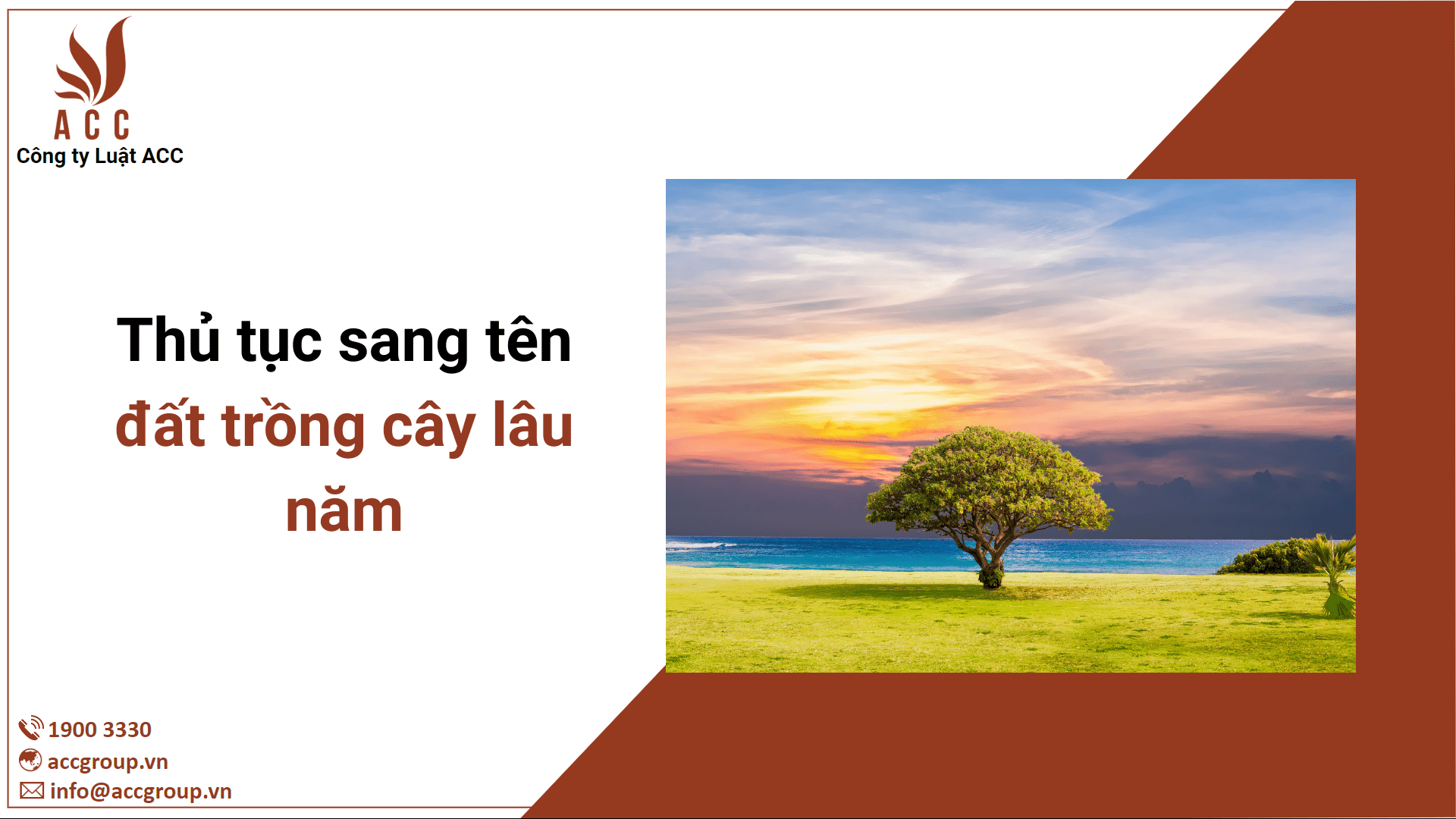 Thủ tục sang tên đất trồng cây lâu năm