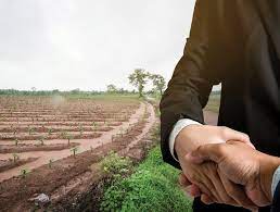 chuyen-muc-dich-su-dung-dat-co-phai-dau-gia