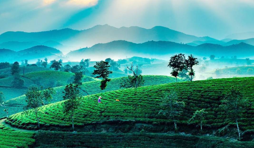 đăng ký tạm trú cho người nước ngoài tại Phú Thọ