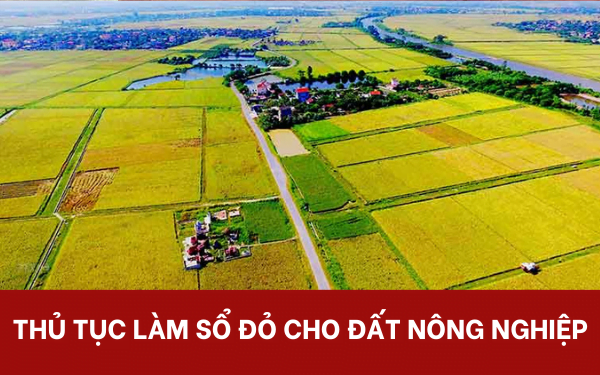 thu-tuc-lam-so-do-dat-nong-nghiep-e1638114810519