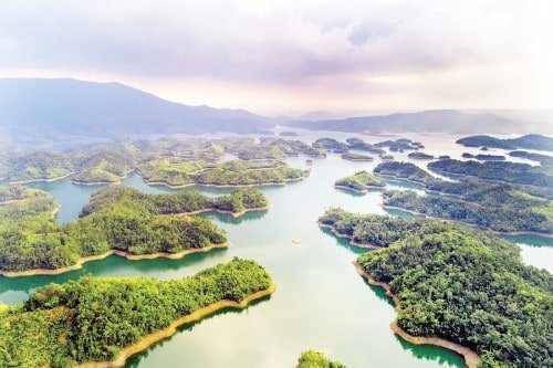 Dịch vụ thành lập địa điểm kinh doanh tại Đắk Nông