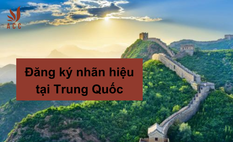 Ho So Thanh Lap Cong Ty (3)