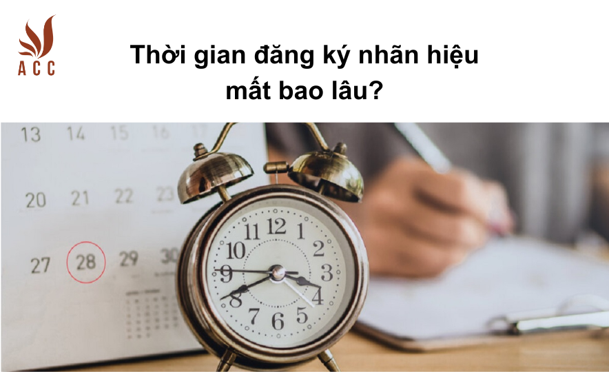 Ho So Thanh Lap Cong Ty (4)