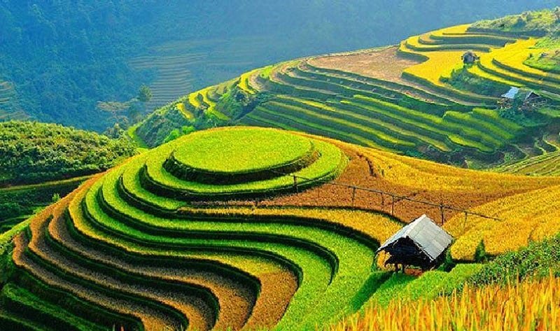 Đất xen kẹt là gì