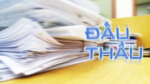 gia-han-chung-thu-so-dau-thau