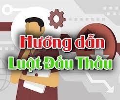 quy-trinh-dau-thau-theo-nghi-dinh-63