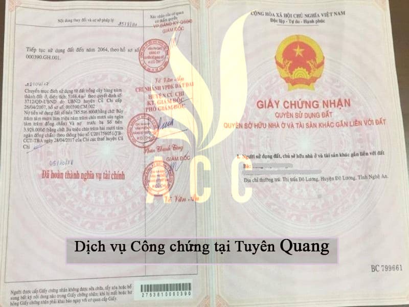 so-hong-gia_pwyj_thumb