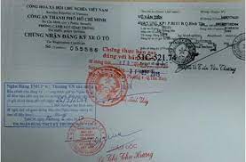 tải-xuống-4