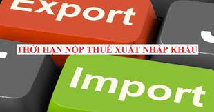 thoi-han-nop-thue-nhap-khau