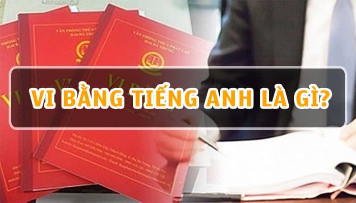 Vi bằng tiếng anh là gì 