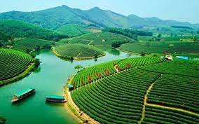 Dang-ky-nhan-hieu-tai-Nghe-An-Cap-nhat-2022