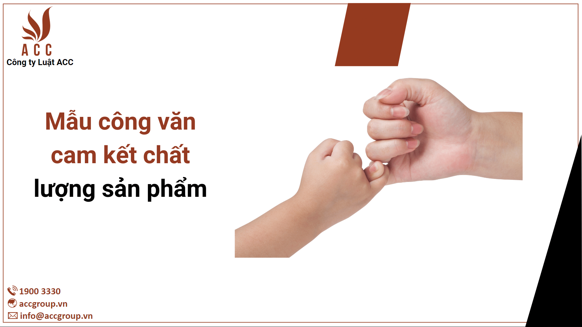 Mẫu công văn cam kết chất lượng sản phẩm