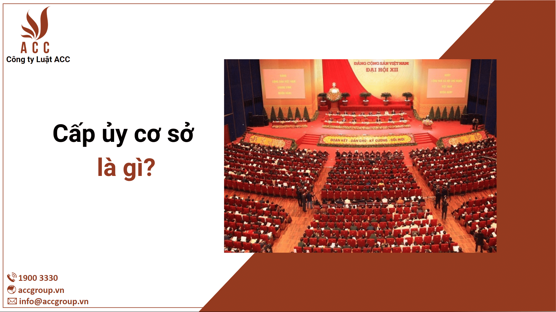 Cấp ủy cơ sở là gì?