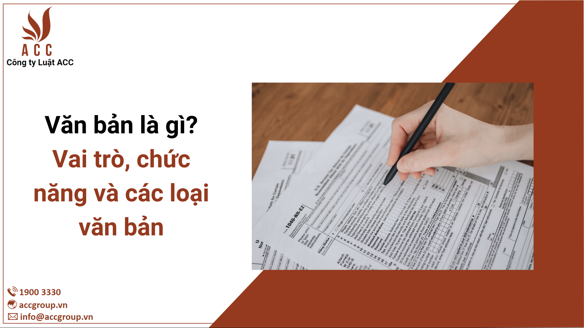 Văn bản là gì? Vai trò, chức năng và các loại văn bản