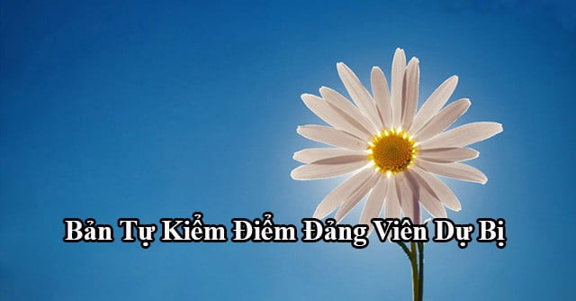 mau-tu-kiem-diem-dang-vien-du-bi